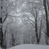 Na Jablonskej /1117m/ bez nás